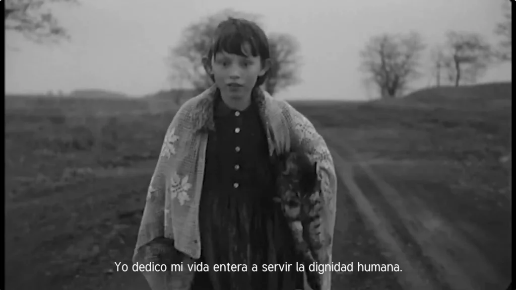En honor a Béla Tarr