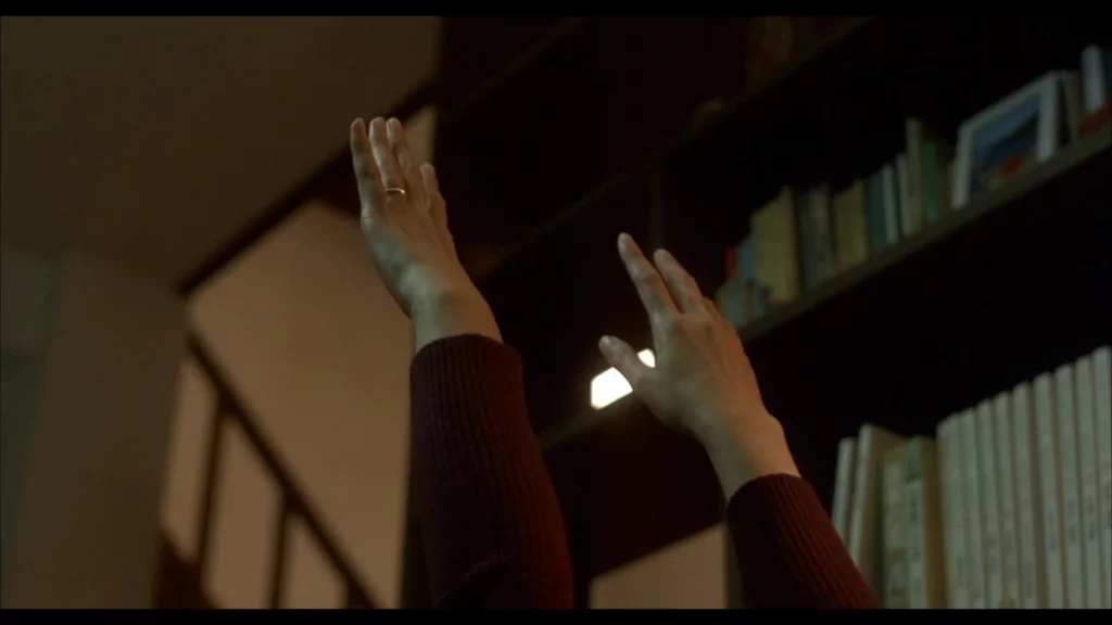Kiyoshi Kurosawa: Above the Clouds